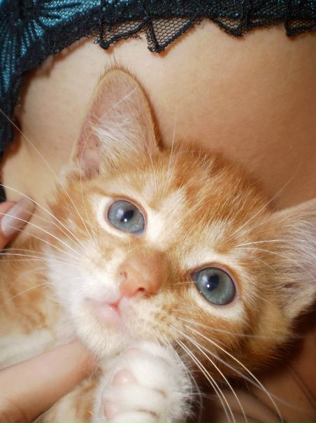 №16, Леночка Кадыкова, 35 лет, Ногинск №16, Леночка Кадыкова, 35 лет, Ногинск