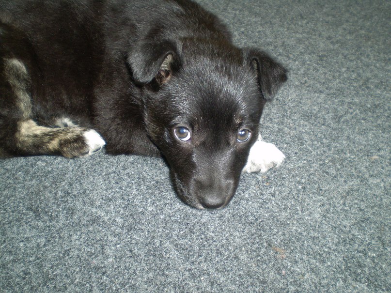 Анна Лихацкая | Херсон