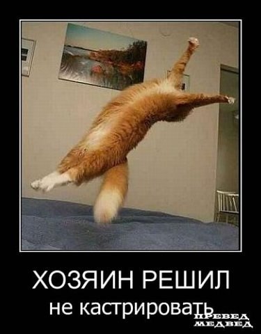 Natali Pertonen | Санкт-Петербург