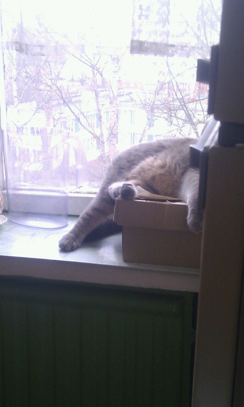 Анастасия Лукьянова | Москва