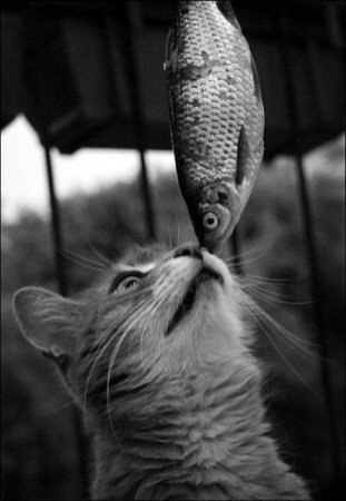 Кира Воспякова | Киев