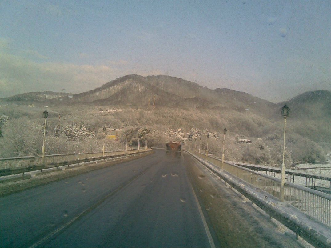 Миша Тороп | Таганрог