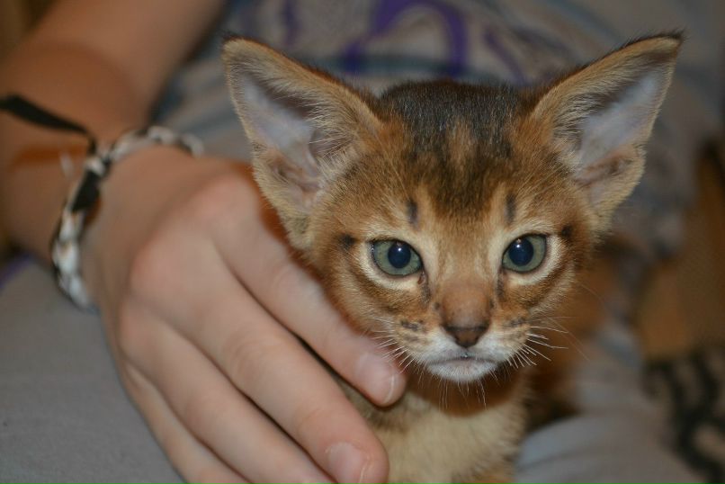 Надежда Степина | Тула