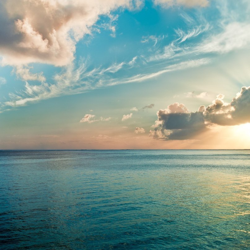 Ліля Кохана | 