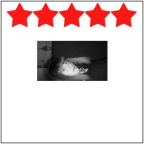 №21, Алёна Головня, Житомир №21, Алёна Головня, Житомир