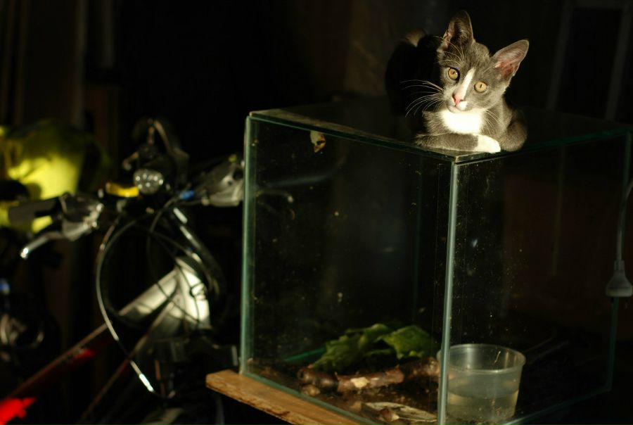 №39, Юлия , 15.3 №39, Юлия , 15.3