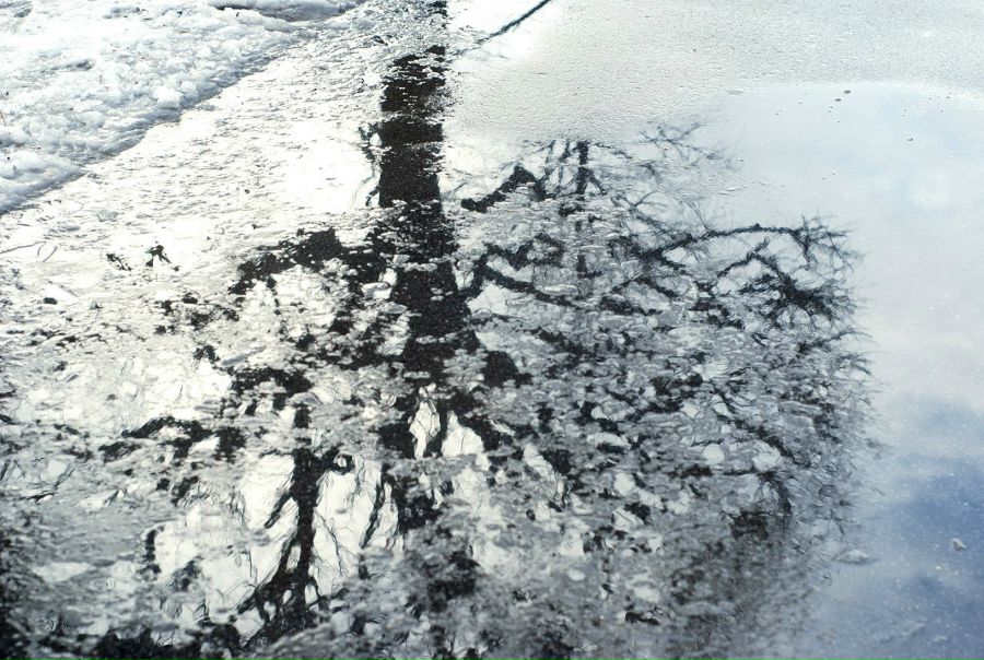 №17, Юлия , 15.3 №17, Юлия , 15.3