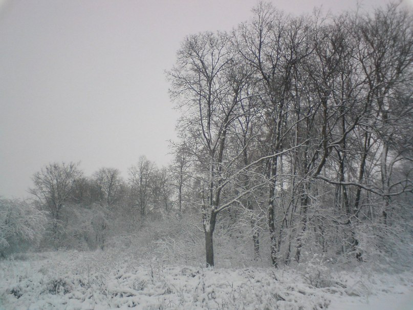 Ярослав Пилюгин | Москва