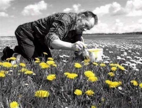 Миша Мошкин | 