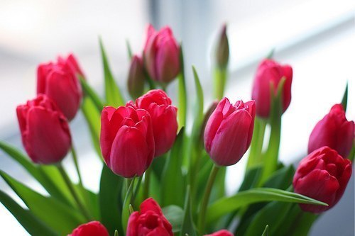 Елена Терещенко | Челябинск