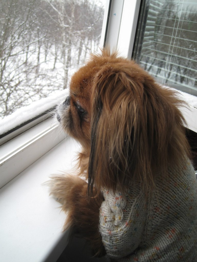 Вадим Мідзяєв | Винница