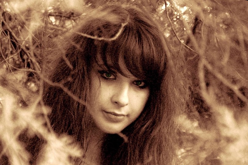 Діана Михайловська | 