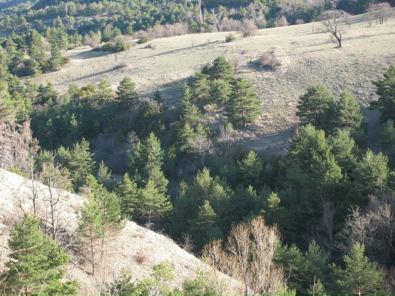 Дарья Довгун | Москва