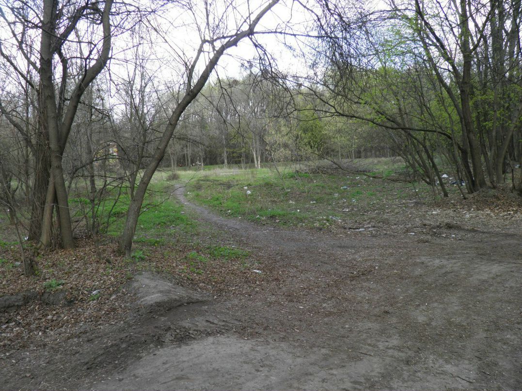 Александр Маласай | Днепр (Днепропетровск)