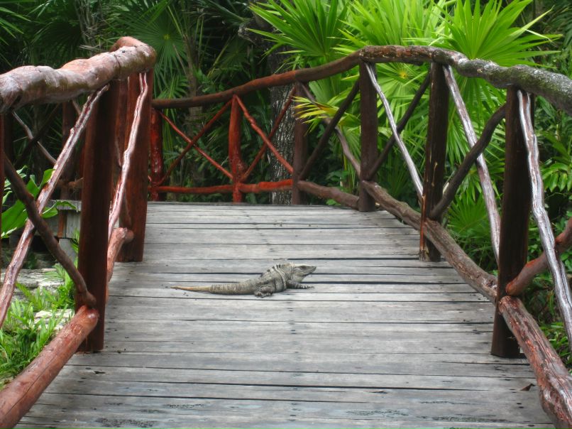 Юля Орлова | Минск