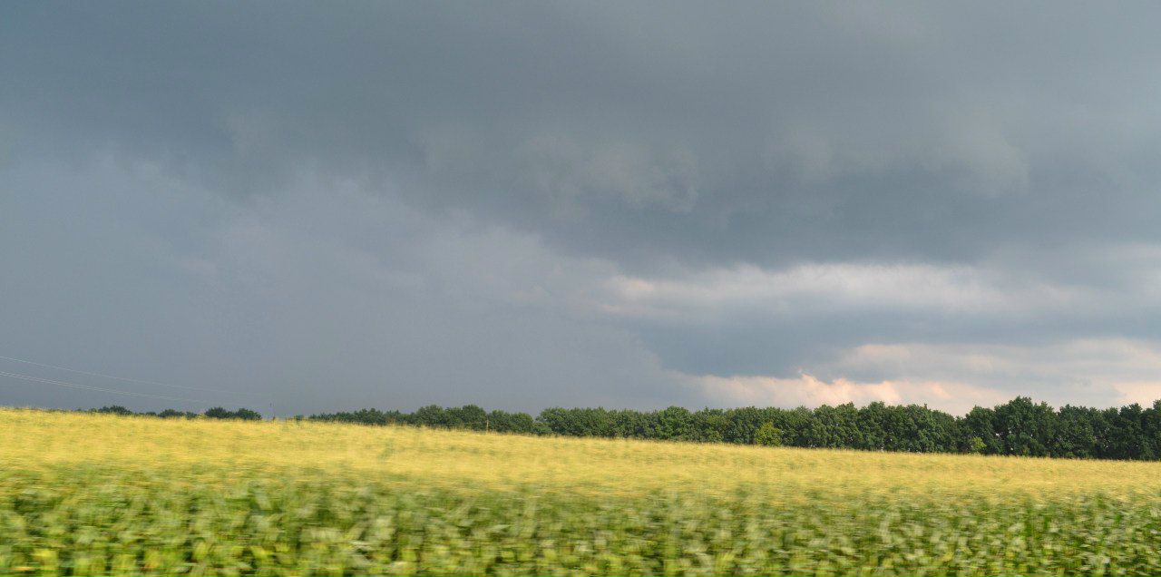 Александр Сторчук ПеРеЦ | Белгород