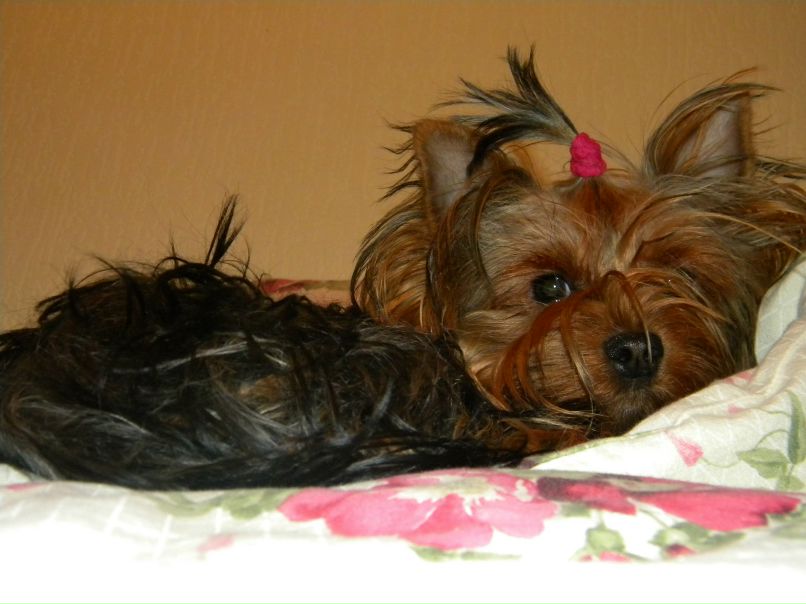 Яна Калина | Киев