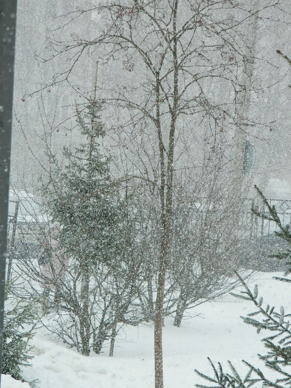 Алиска Додина | 