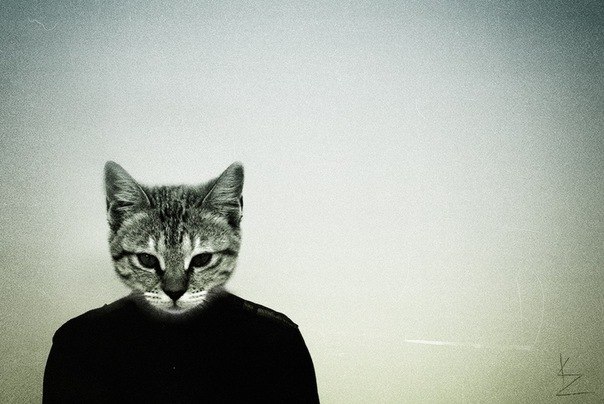 Al Sobolev | Киев