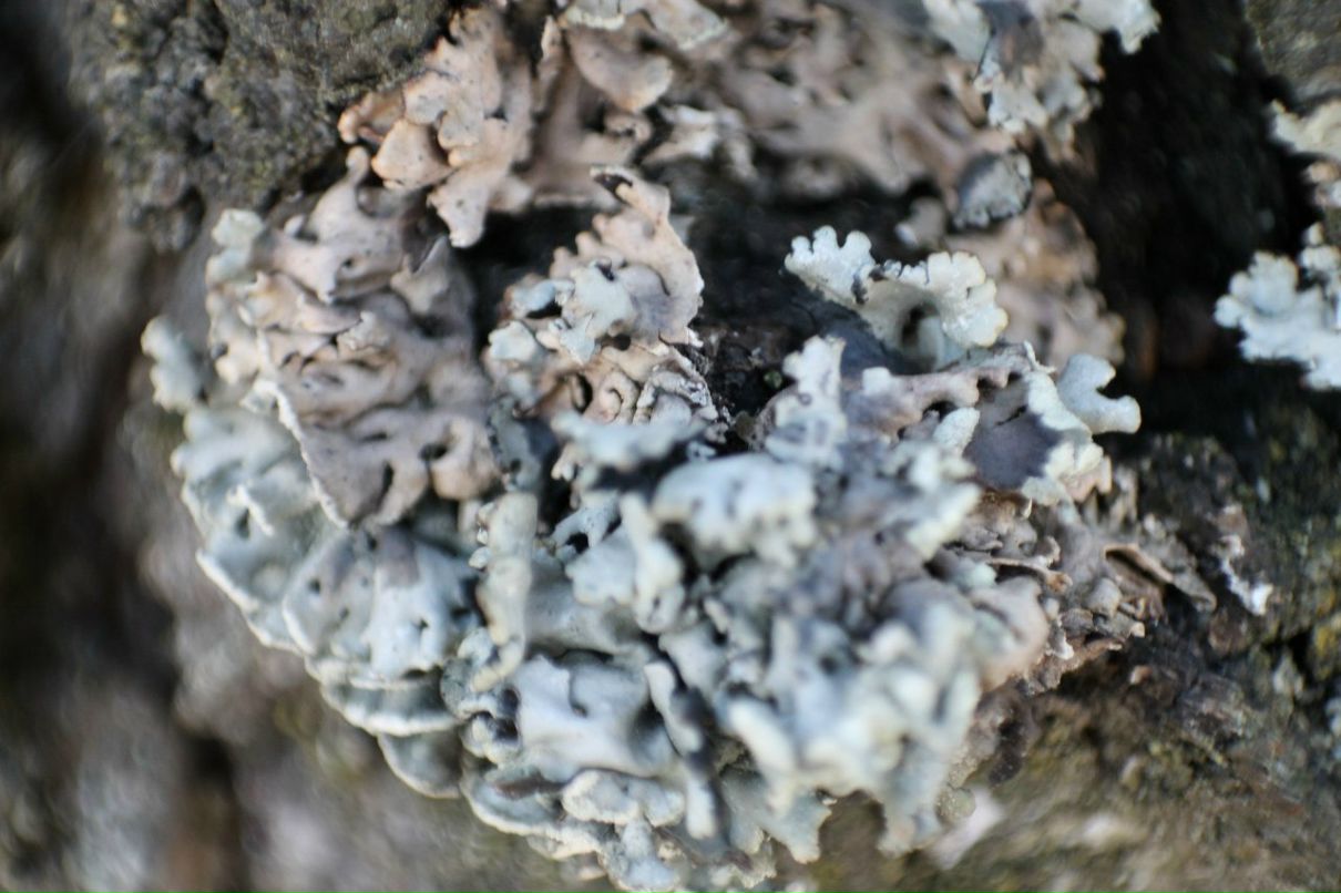 Павел Шутов | Минск