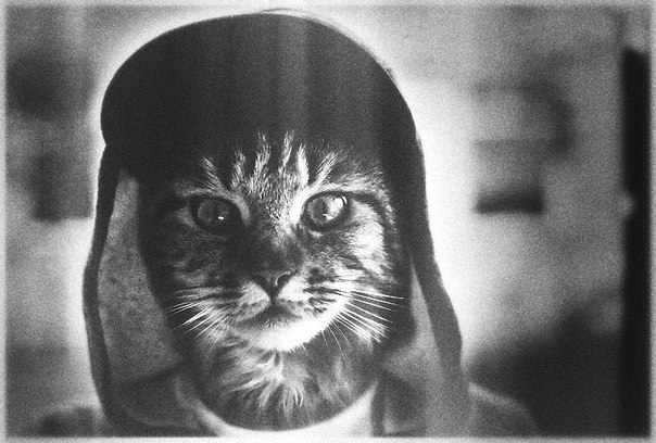 Alina Kravchenko | Москва