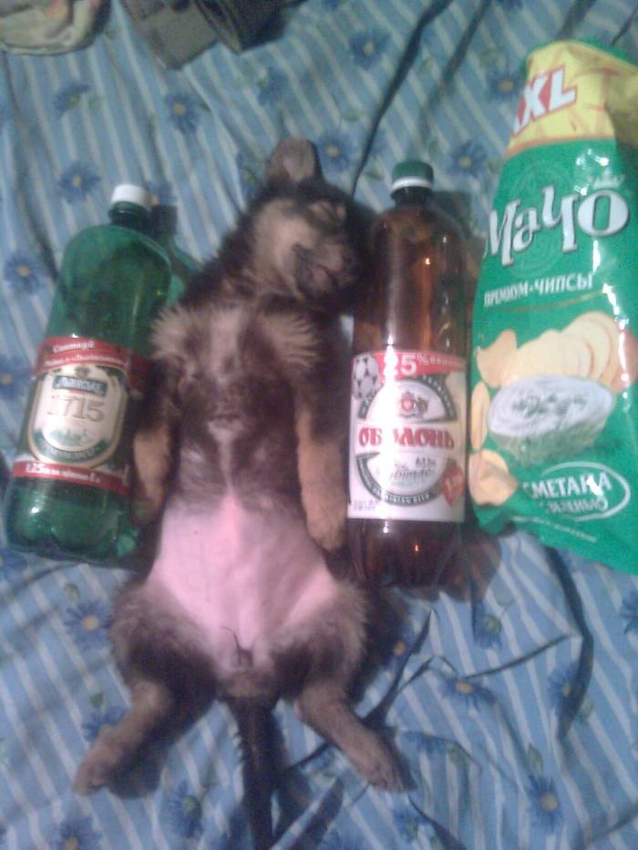 Людмилка Михайленко Звездочк@ | Боярка