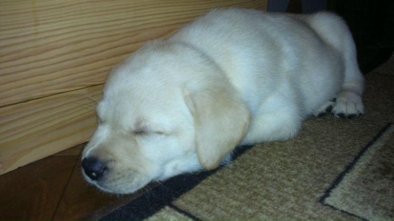 Юлия Язовских | Тихвин