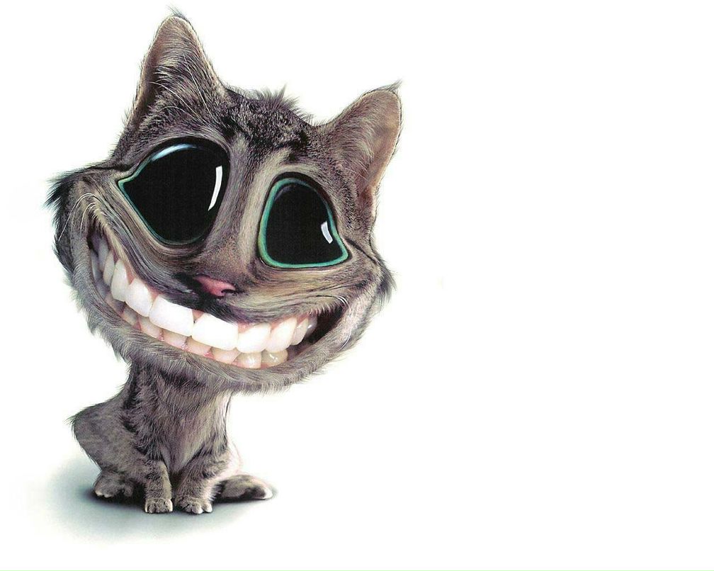 Алексей Воронин | Красноярск