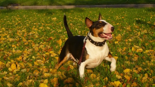 Юлиана Белинская | Санкт-Петербург