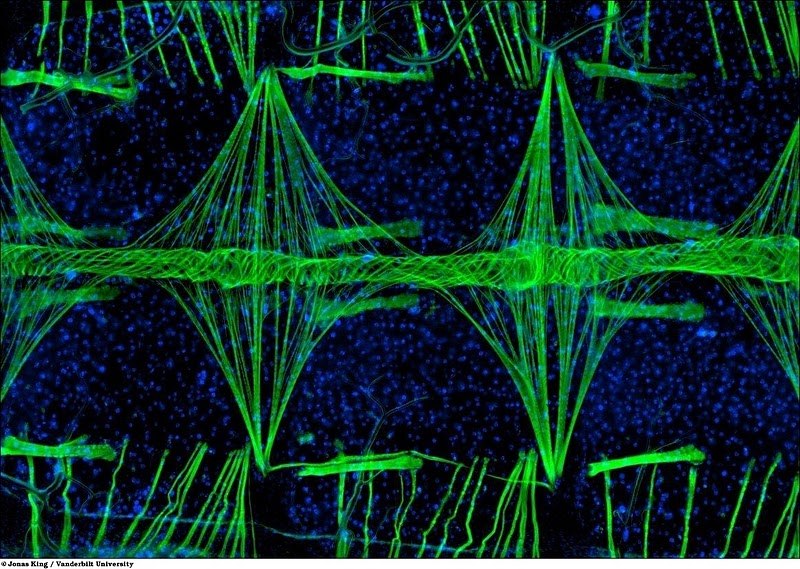 Анна Фотинова | Москва
