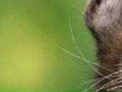 Алёна Высоцкая | Курахово