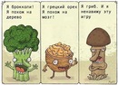 №12 Евгений Левицкий