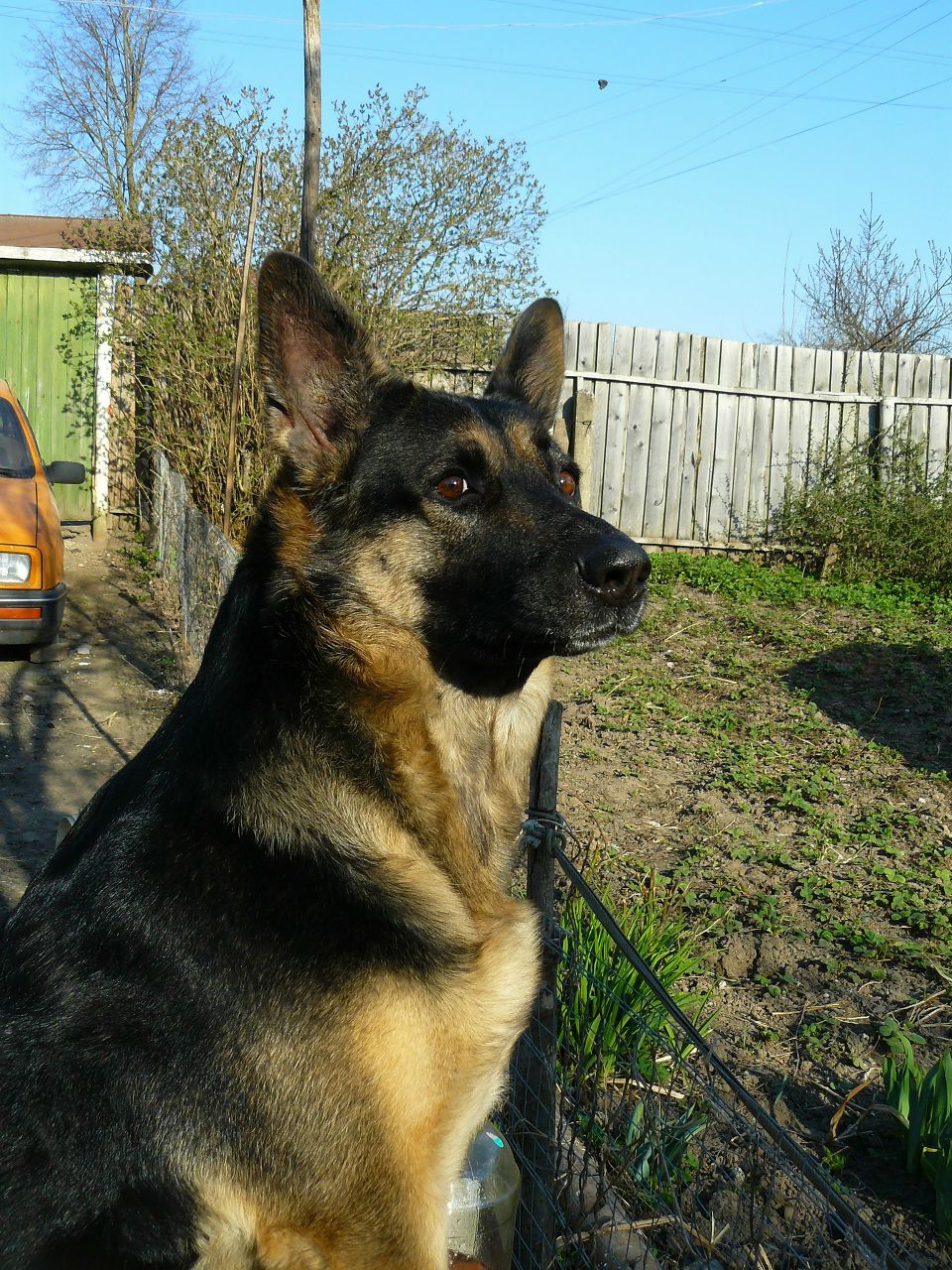 Татьяна Павлова | Боровск