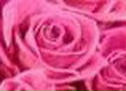 Анна Иванова | Невель