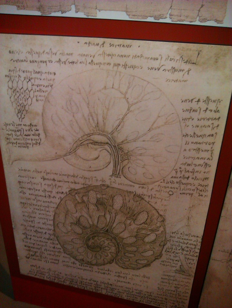 Умар Тамбиев | Кисловодск