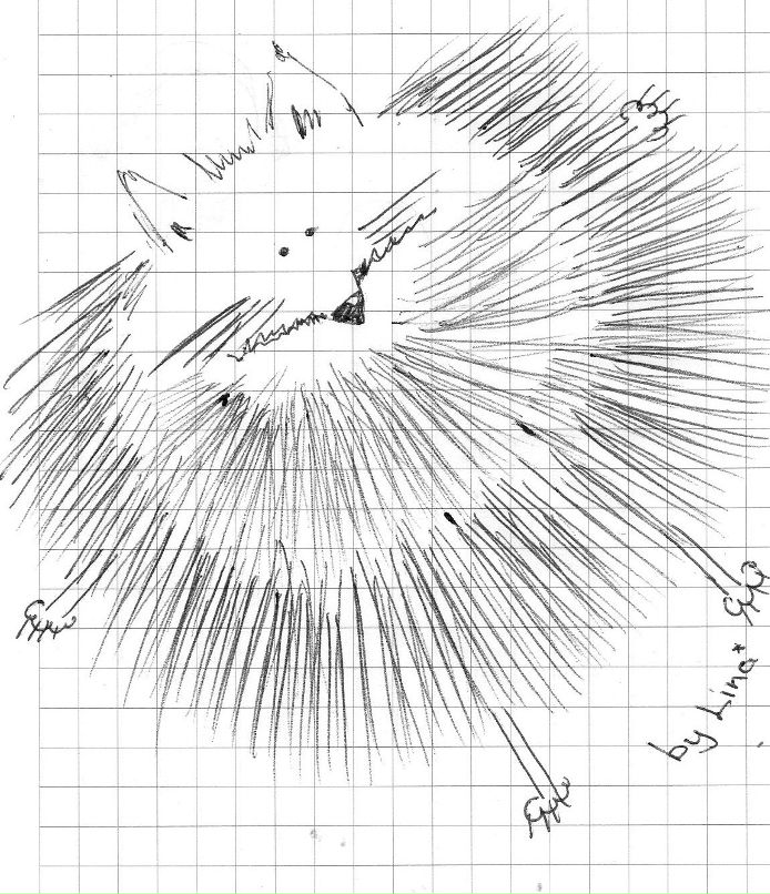 Полина Юскова | Москва