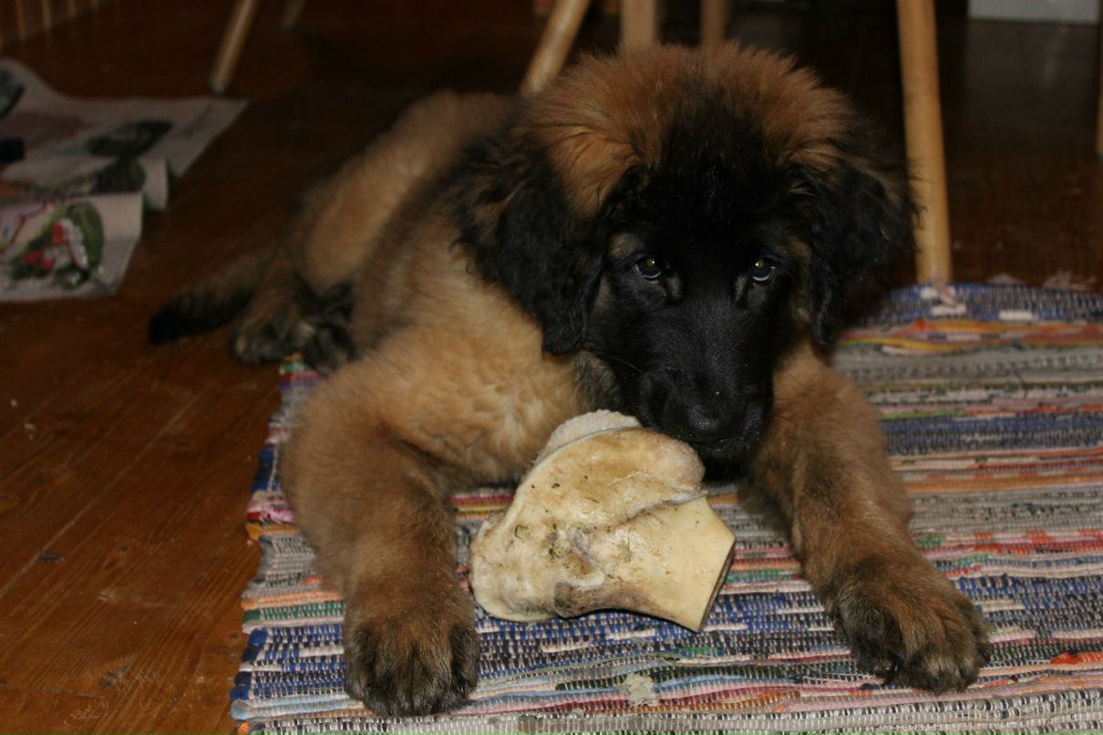 Елена Машарина | Санкт-Петербург