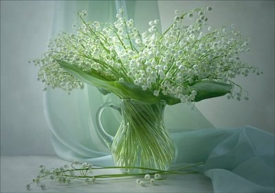 Екатерина Котовская | Омск