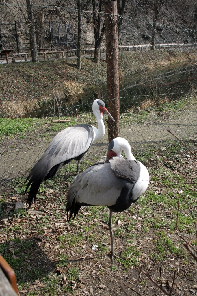 Евгения Прок | Санкт-Петербург