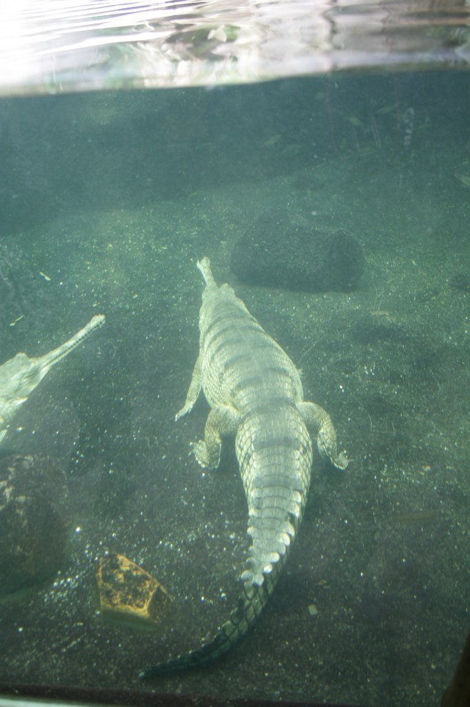 Евгения Прок | Санкт-Петербург