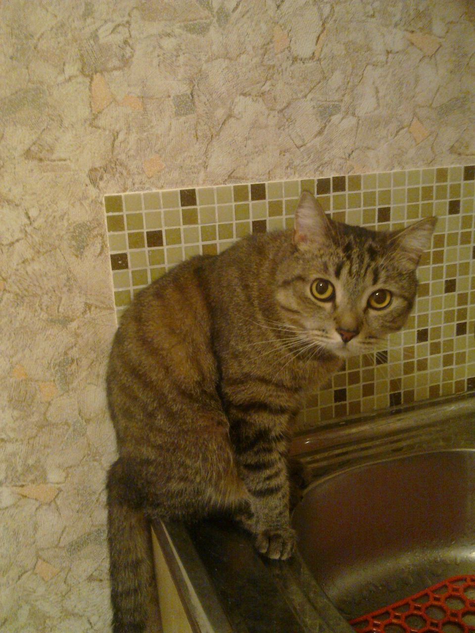 Лелька Яковлева | Москва