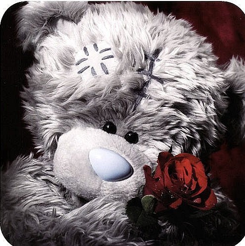 №45, Ева Бригель, Донецк №45, Ева Бригель, Донецк