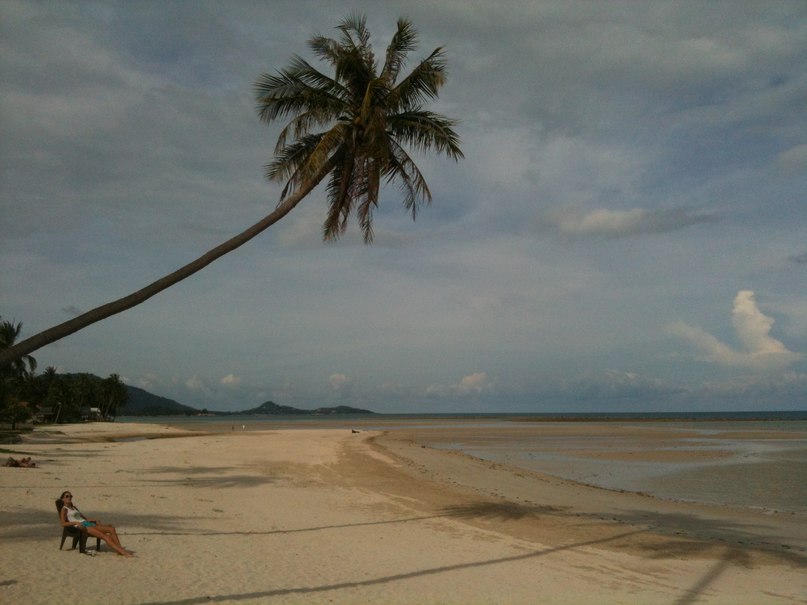 Лилия Евшук | Сочи