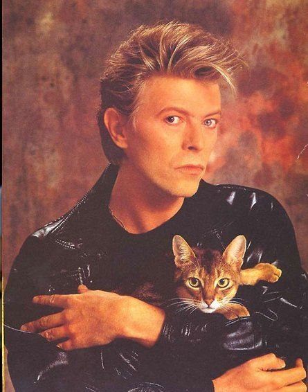 Кристина Карпович | 