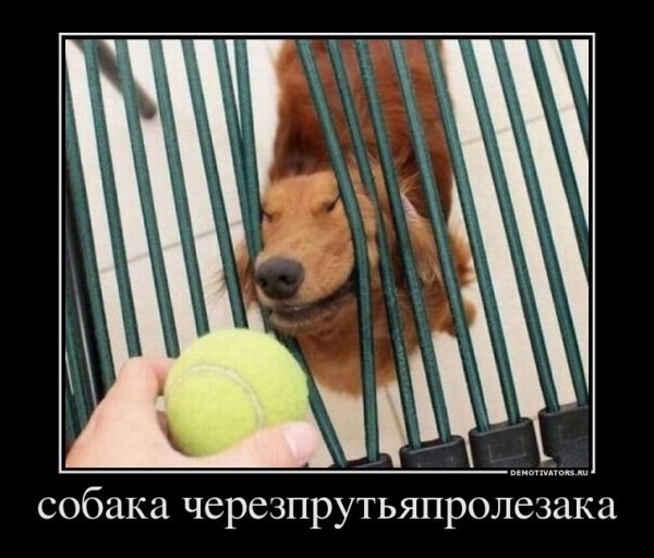 Андрей Лефутуренко | Киев