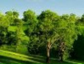 Александр Кузнецов | Тула