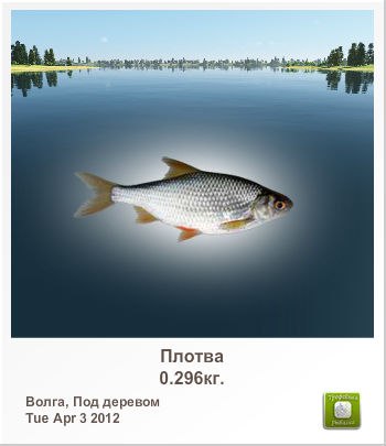 Ярослав Хамдиев | Сургут