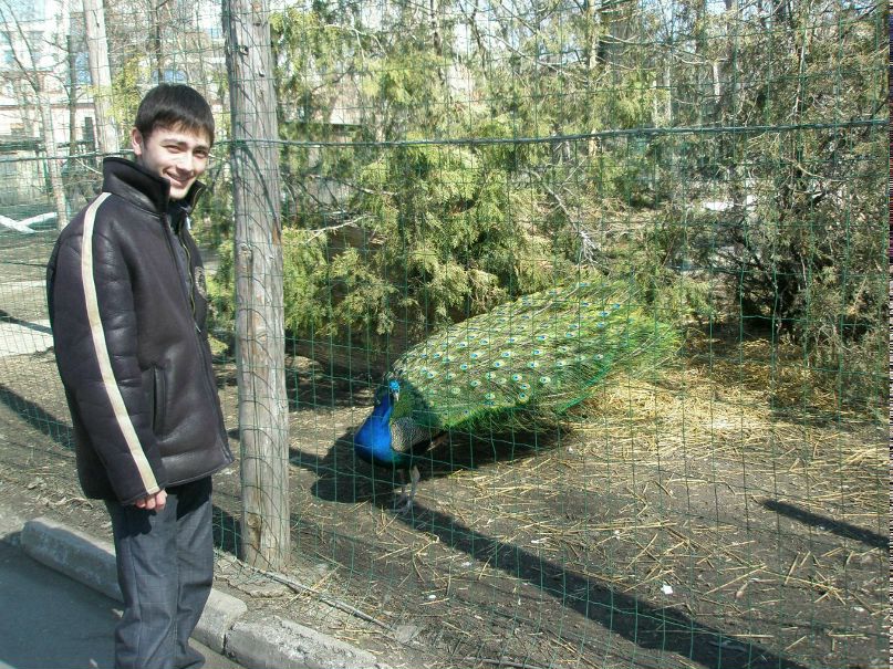 Сергій Полинчук #Freedom# | 