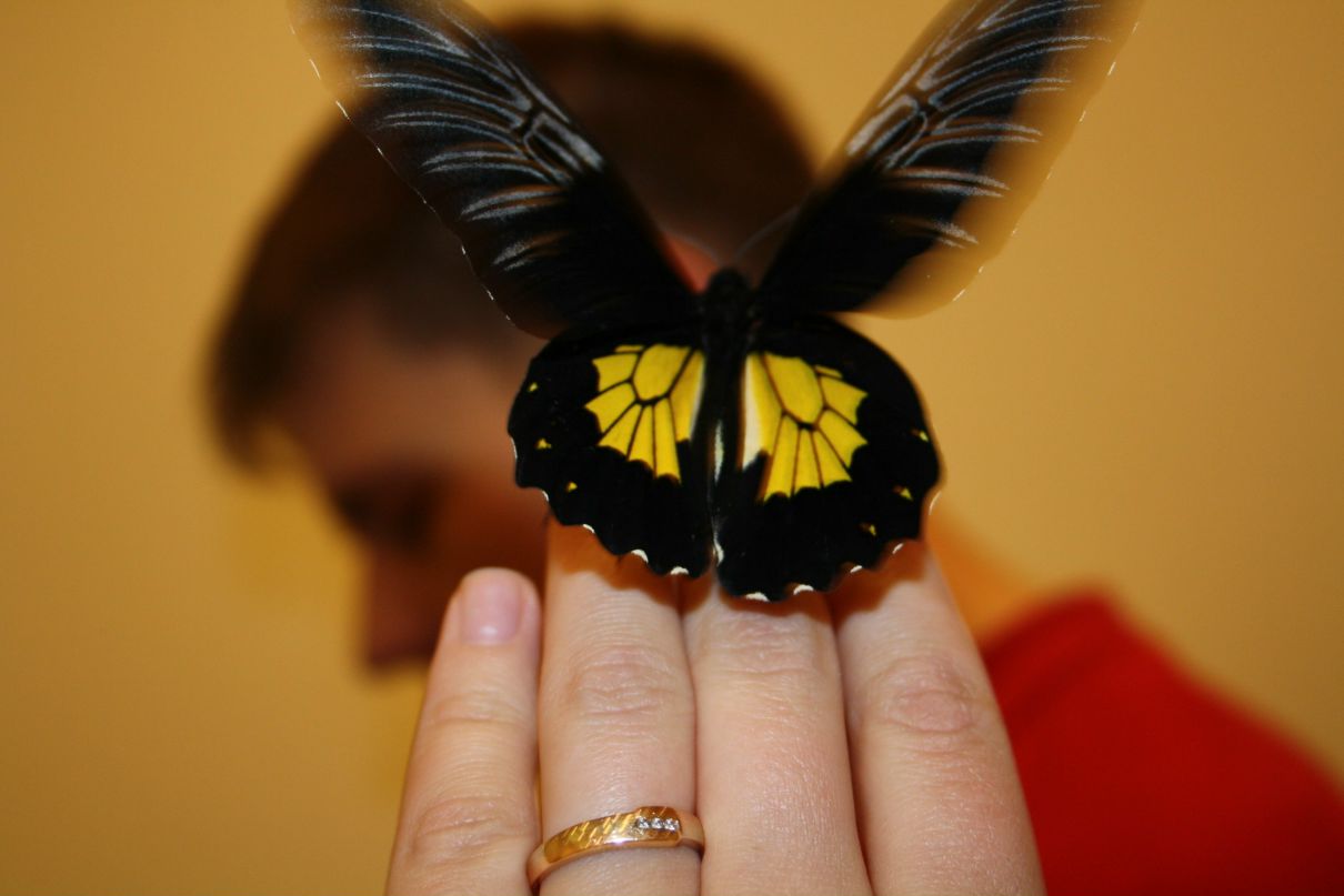 Валерия Дударева | Королёв