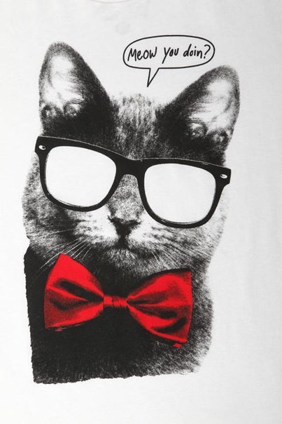 Влад Протасов | Котлас